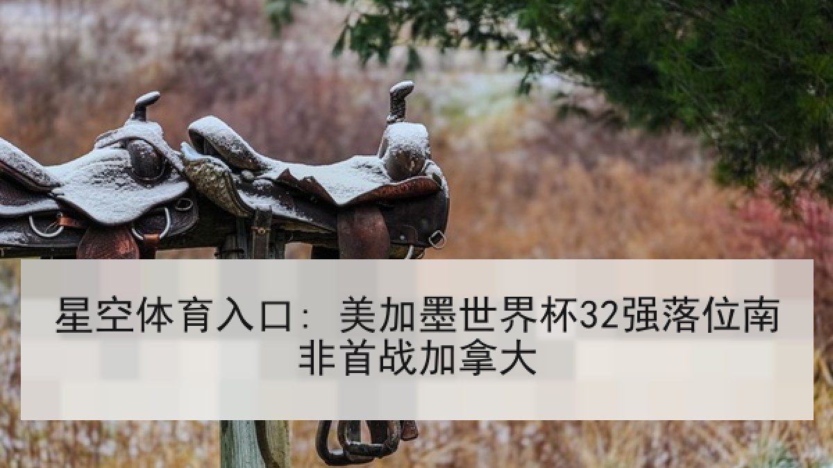 星空体育入口: 美加墨世界杯32强落位南非首战加拿大