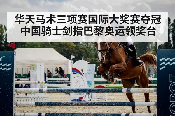 show jumping horse obstacle